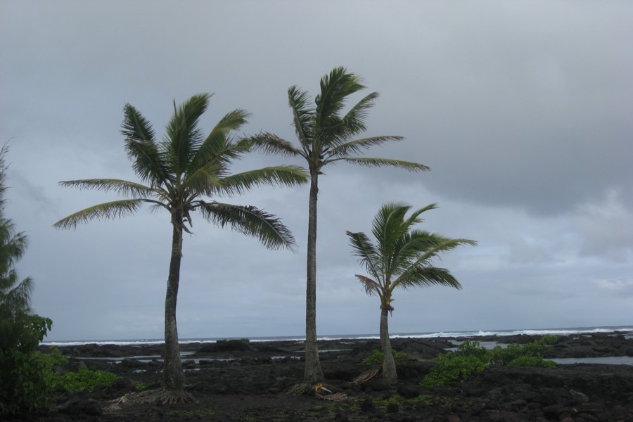 ../image/kapoho tide pools 8.jpg